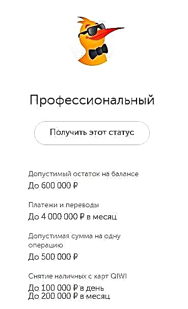 Профессиональный статус. Профессиональный статус киви. Профессиональный киви кошелек. QIWI статусы. Скриншот профессионального киви кошелька.